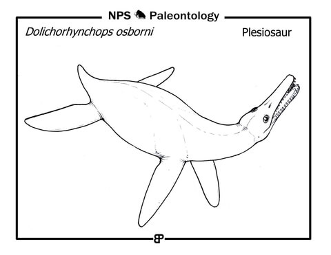 Plesiosaur (Dolichorhynchops Osborni) Coloring Page